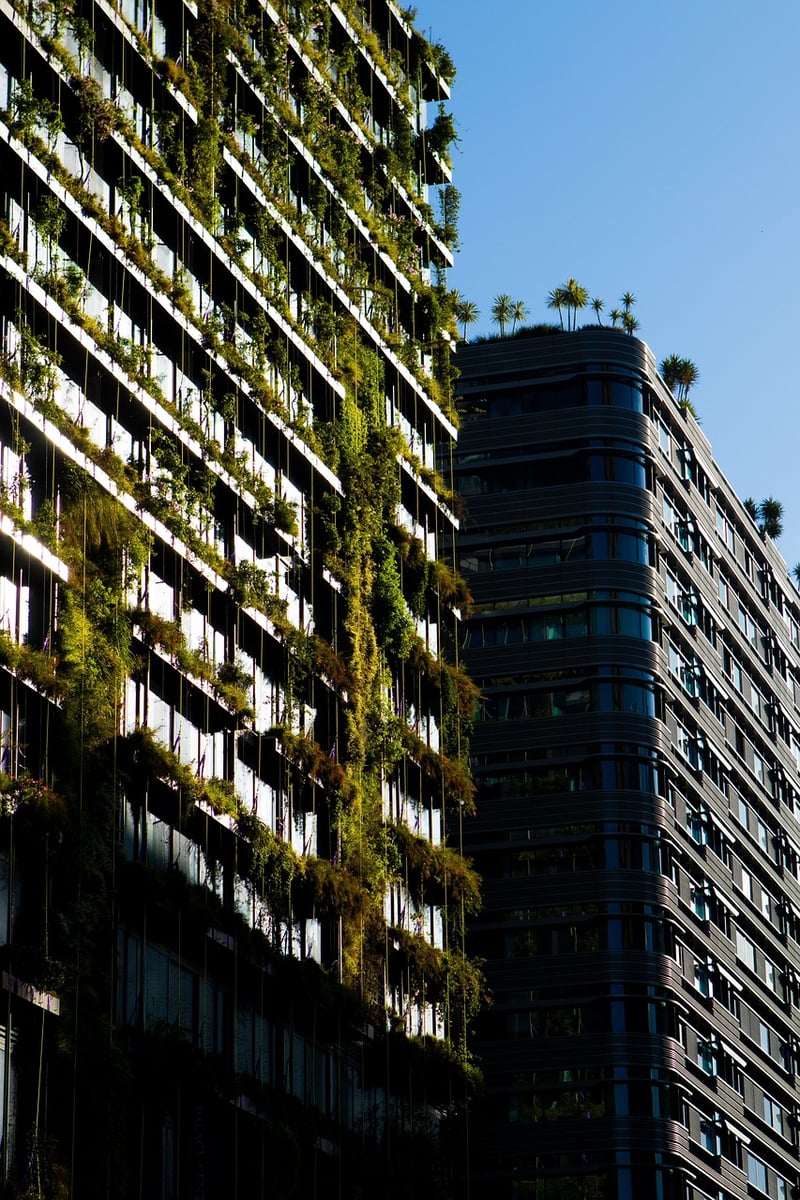 Green wall vertical garden
